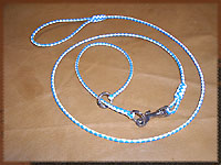 dog and collar combination set