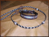 dog and collar combination set