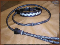 dog and collar combination set