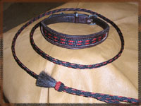 dog and collar combination set