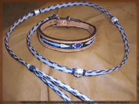dog and collar combination set