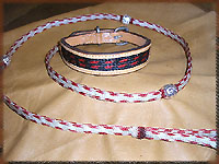 dog and collar combination set