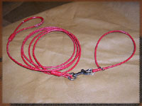 dog and collar combination set