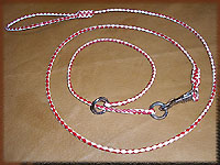dog and collar combination set