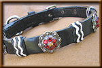 dog and collar combination set