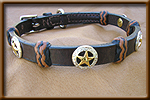 dog and collar combination set