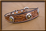 dog and collar combination set